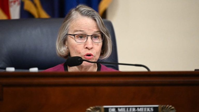 Iowa rep in swing district endorsed by group working to elect GOP women